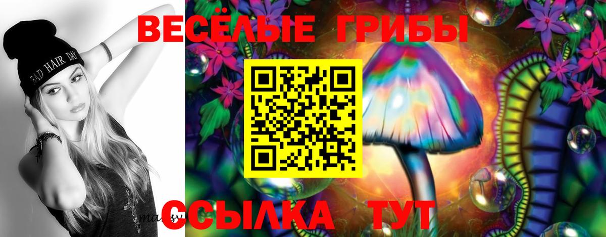Рассказово  Псилоцибиновые грибы Psilocybe  Вход с VPN 