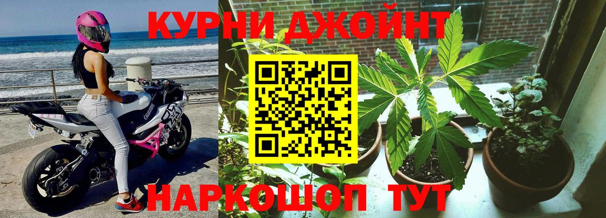 Рассказово  Бошки марихуана тримм  Вход с VPN  Канабис White Widow  Канабис план 